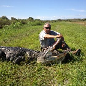 Central Florida Wild Alligator Hunts