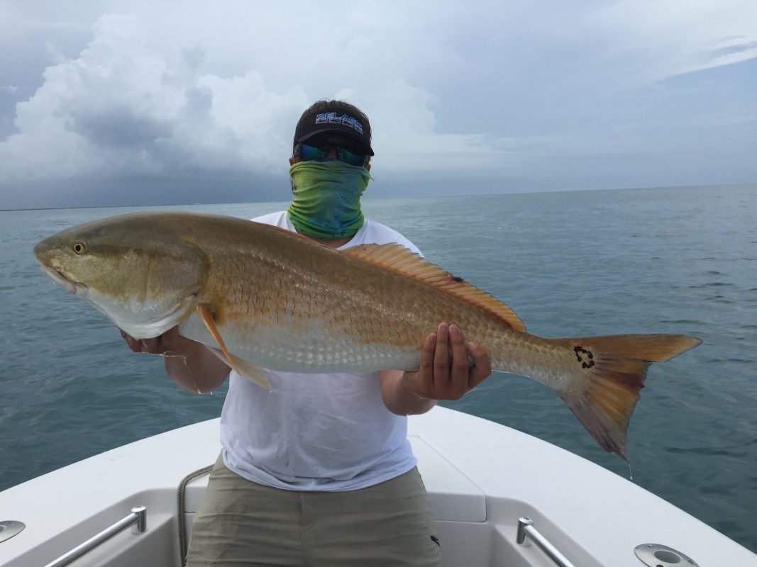 Charter Fishing, Florida