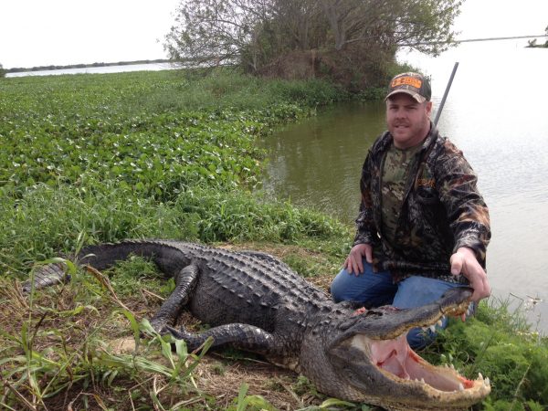 Alligators Hunting Guide