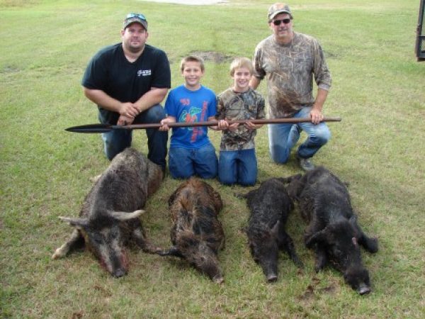 Wild Boar Hunting