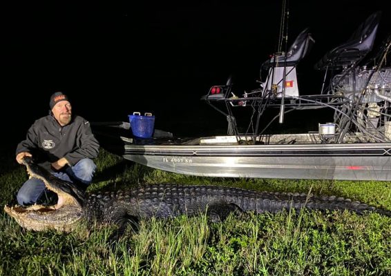 The 2020 FL Public Waters Alligator Permit results are out. Please contact us to