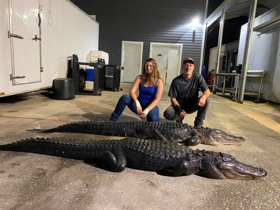 Had two great nights with 4 gators harvested on Lake Helen B...