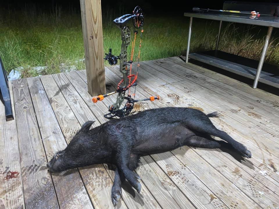Jesse put the smack down on this boar!!