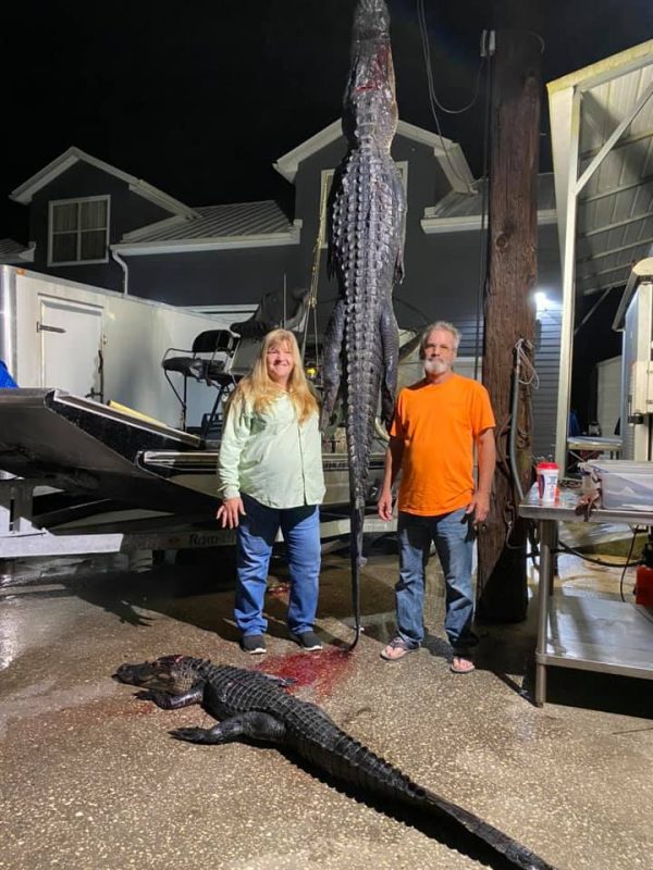 Sonnny came in for WPB and harvested two nice gators with he...