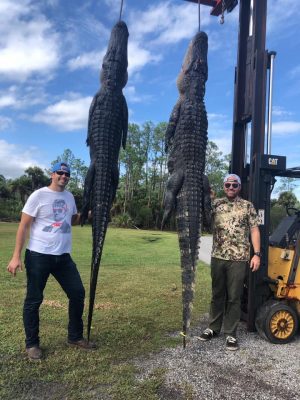 Awesome time this weekend with great clients. 
 Harvested mu...