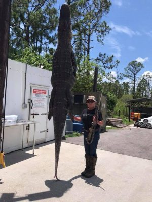 Amy from Atl harvested this monster 11-1!!!  Weight to follo...