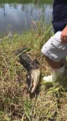 Another day at the office