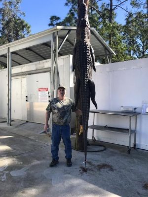 Another stud taken by Dennis from Illinois. 
 It's a great t...