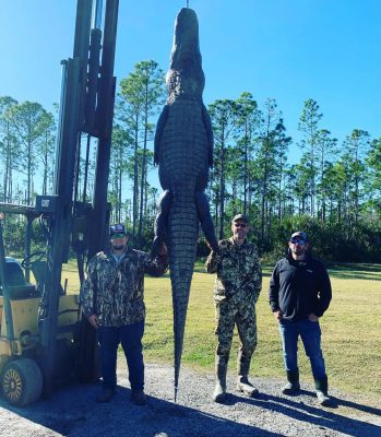 Congrats to Aaron on this Monster 12ft 8” gator harvested on...