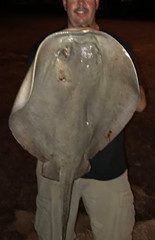 Great Night of Saltwater Bowfishing - Central Florida Trophy Hunts