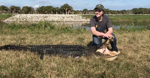 Holiday Florida Alligator Hunt - Central Florida Trophy Hunts