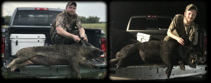 Kentucky Brothers Harvest Trophy Boars - Central Florida Trophy Hunts