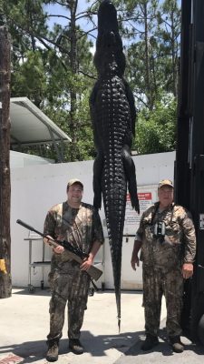 Ohio Man Harvests Monster Alligator - Central Florida Trophy Hunts