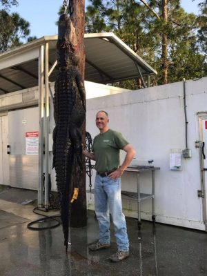 Another stud we harvested today. 
 11-1 
 412 lbs. 
 2017 is...