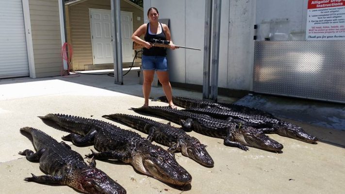 Big News for all of the alligator hunters. 
 By popular dema...