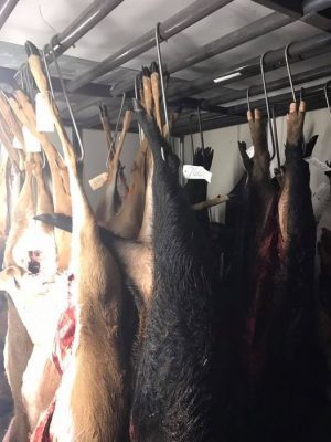 Going to be a busy week!!