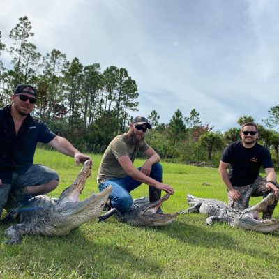 Busy day of gator hunting yesterday with 3 hunters from Illi...