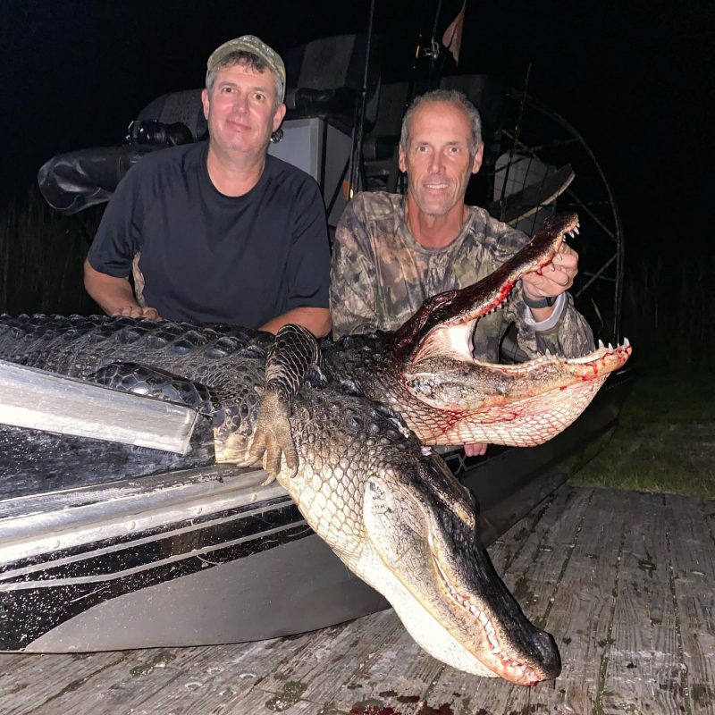Been a great couple of days of gator hunting. #teamcfth #hun...