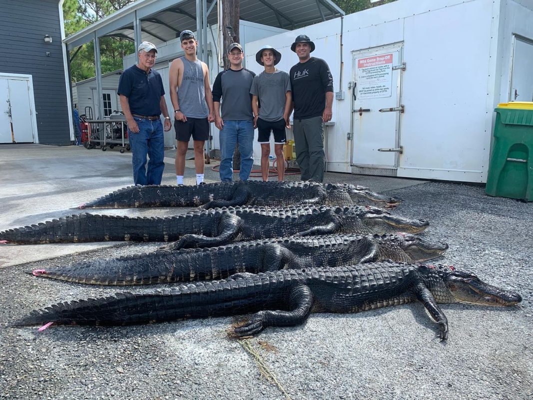Florida Alligator Hunting at its finest!! This group from In...