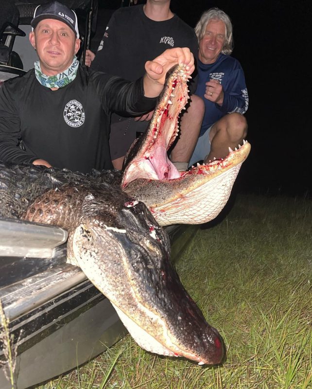 Great week of gator hunting and hog hunting with hunters fro...