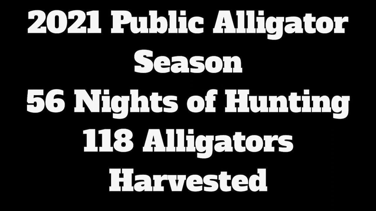 2021 Public Alligator Season