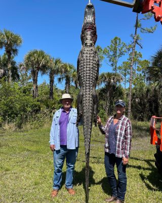 This couple from MO took a great gator this morning.