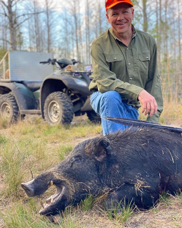 Two good days of hog hunting.