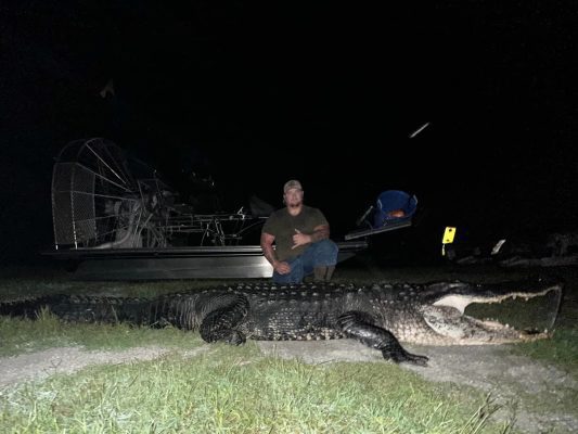 Put Alex on two great gators last night including this bobbe...