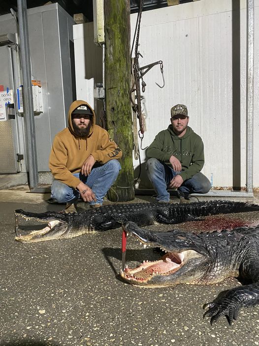 Two public land gators on some tough conditions!!!