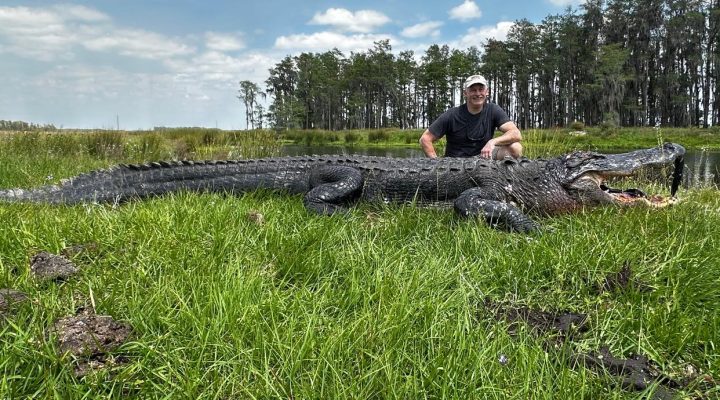 Two stud free range gators today for Scott and Mike.