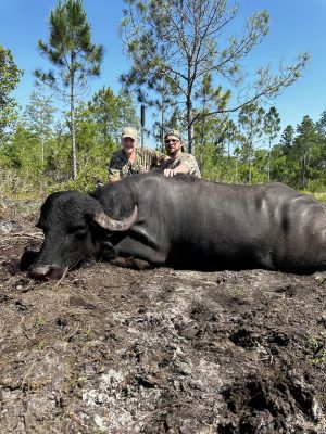 Wrapped up the father son duo today with a nice Water Buffalo and 2 nine foot al...