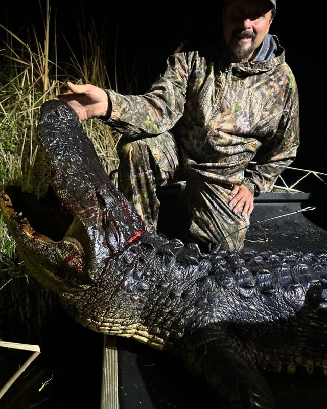 Louie with a stud gator and the first blood on the new @dbairboats boat.