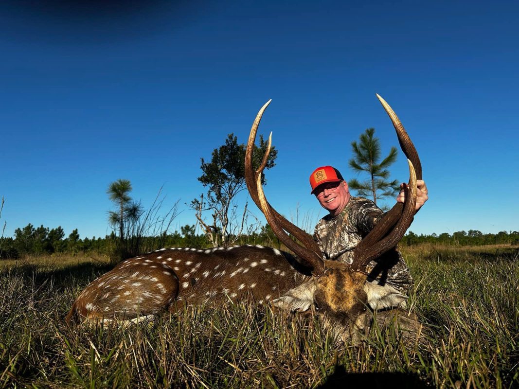 CFTH will be running our first ever Axis Doe Special. 

Price is $1200 per doe n...