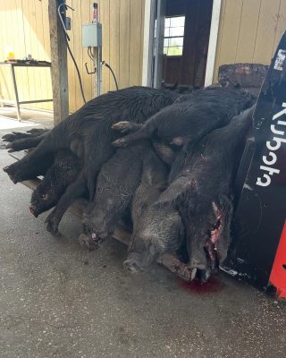 Did not get the clients from this Corporate Group in the photo but you know it’s...