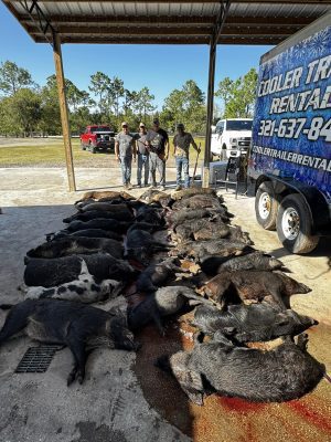 Ed, Fred, Jed, and John have been on hunting excursions in Texas and with severa...