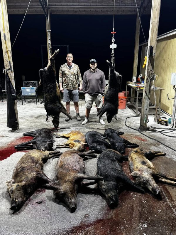 What an impressive start to the week. Capt Nick had a successful hunt with 2 hun...