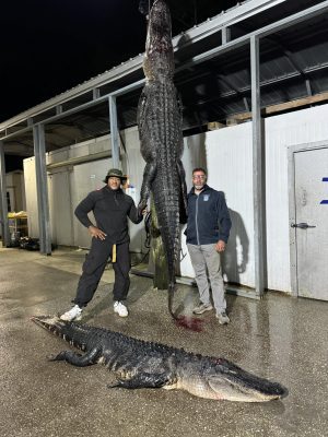 It's that time again!!!  

We invite you to join us on a guided 2025 Public Land...