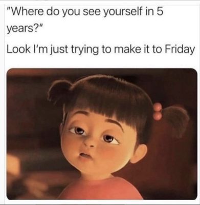 On their maiden hog hunting excursion, Corey and his family harvested three meat...