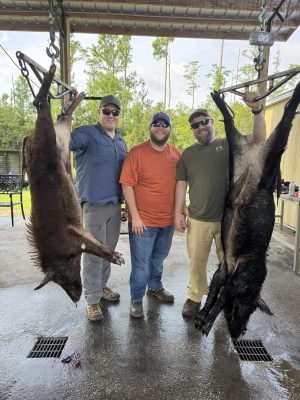 These friends from across the US came down to participate in a hog hunt with CFT...