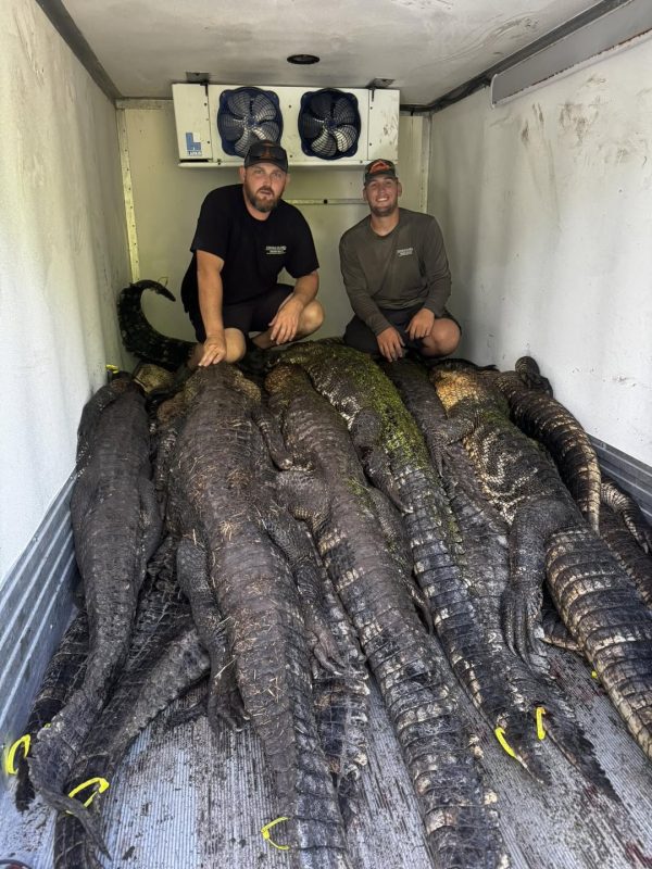 Just a little bit of commercial hunting in a 6 hour period.