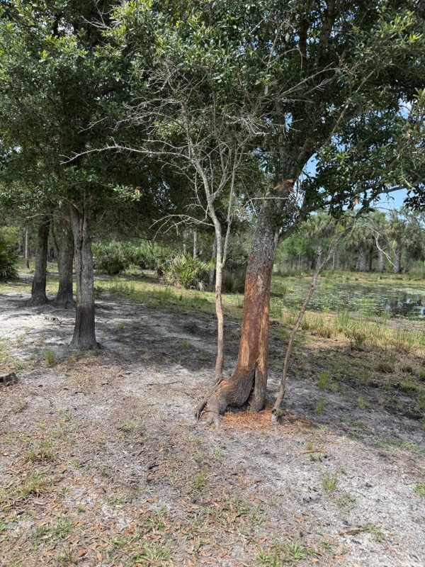 Now is the time to take a STUD axis if you're interested; we have some giants ru...