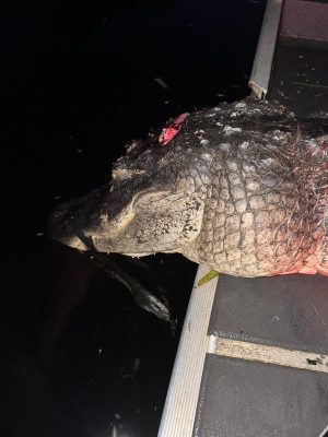 “All three Captains are out on the water tonight in different locations — and th...