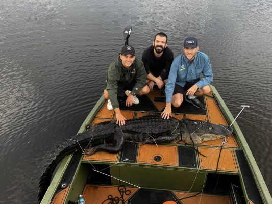 Busy night on the water!

 Capt. Nick wasted no time in Polk County, tagging tw...