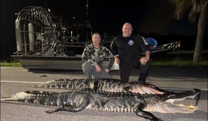 Two great nights back-to-back!
Ran two different sets of tags but ended up with...