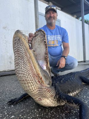 Gator Season Success! 
Tom and his family and friends are back in town to hunt ...