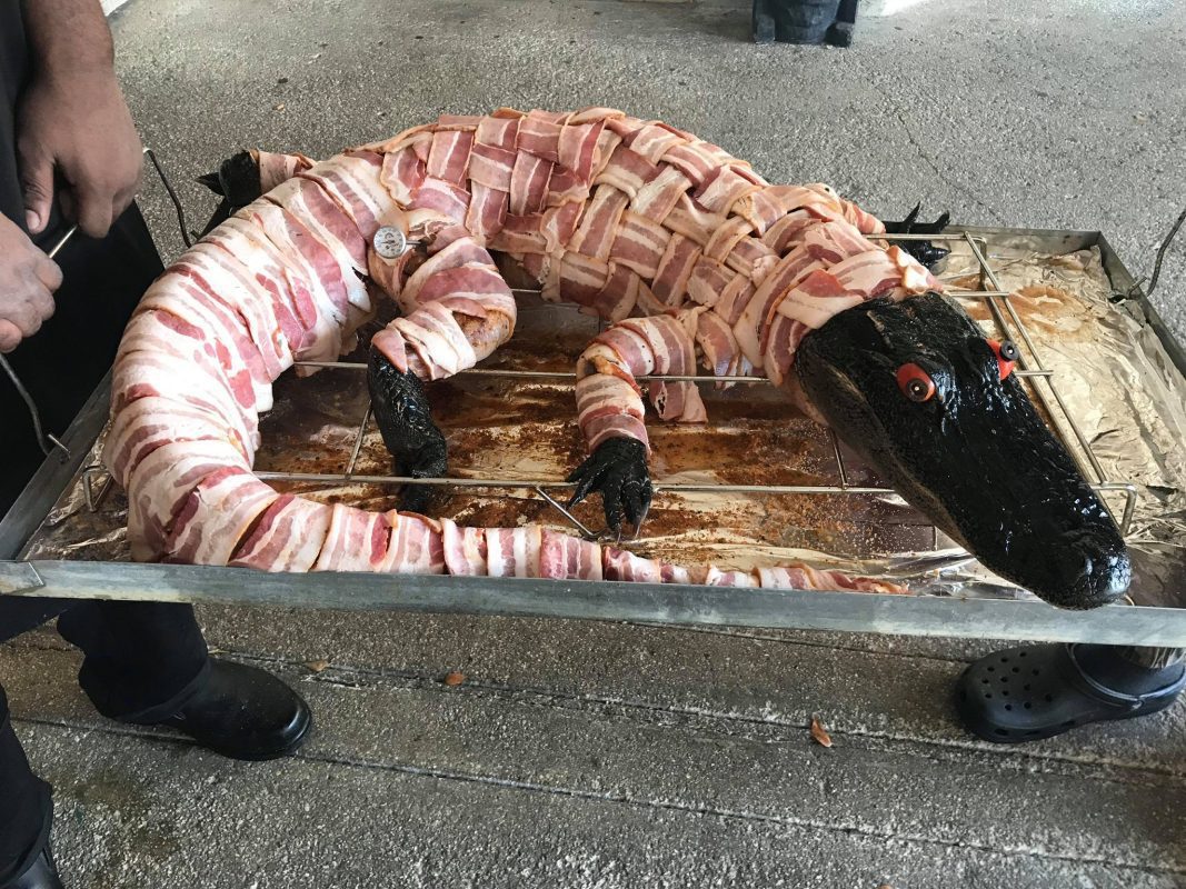 ALLIGATORS FOR THANKSGIVING – LIMITED SUPPLY 

Whole skinned & dressed alligato...